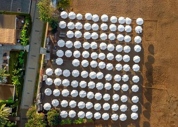 Hotel The Raga Ultra (adults Only)