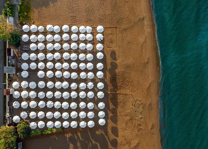 The Raga Ultra (adults Only) Hotel